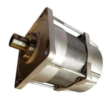 CAME ricambio cancello battente gruppo motore FERNI F1024 - 119RID095 