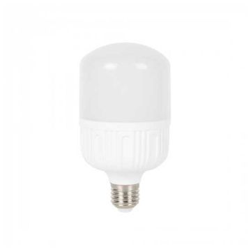Ampoule LED SMD V-TAC Big Ripple T100 E27 24W 2080LM 200° A+ Plastique IP20 VT-2125 – SKU 7277 Blanc froid 6400K