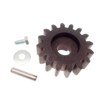 Pinion BZ – 119RIBZ005