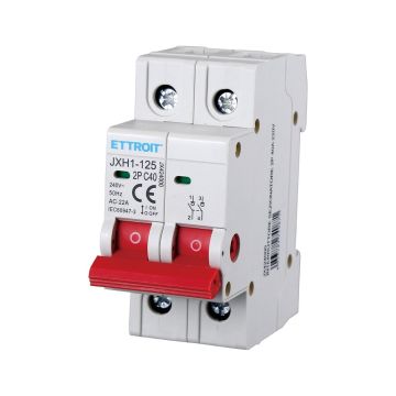 ETTROIT interruttore sezionatore 2P 40A 220V JX424000