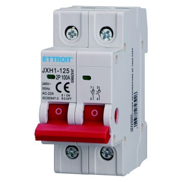 ETTROIT Interruttore Sezionatore DIN 2P 100A 240V - JX429900